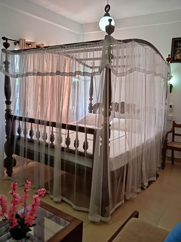 Hotel Dolphin Hikkaduwa Zewnętrze zdjęcie