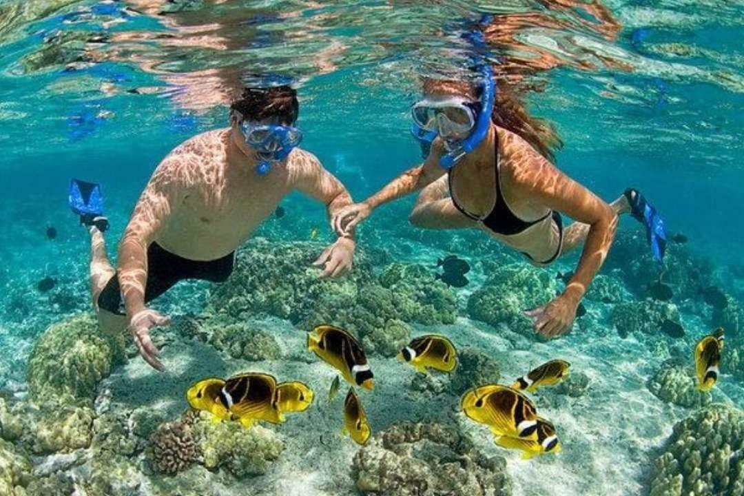 Hotel Dolphin Hikkaduwa Zewnętrze zdjęcie