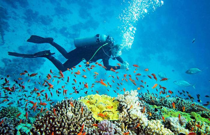 Hotel Dolphin Hikkaduwa Zewnętrze zdjęcie