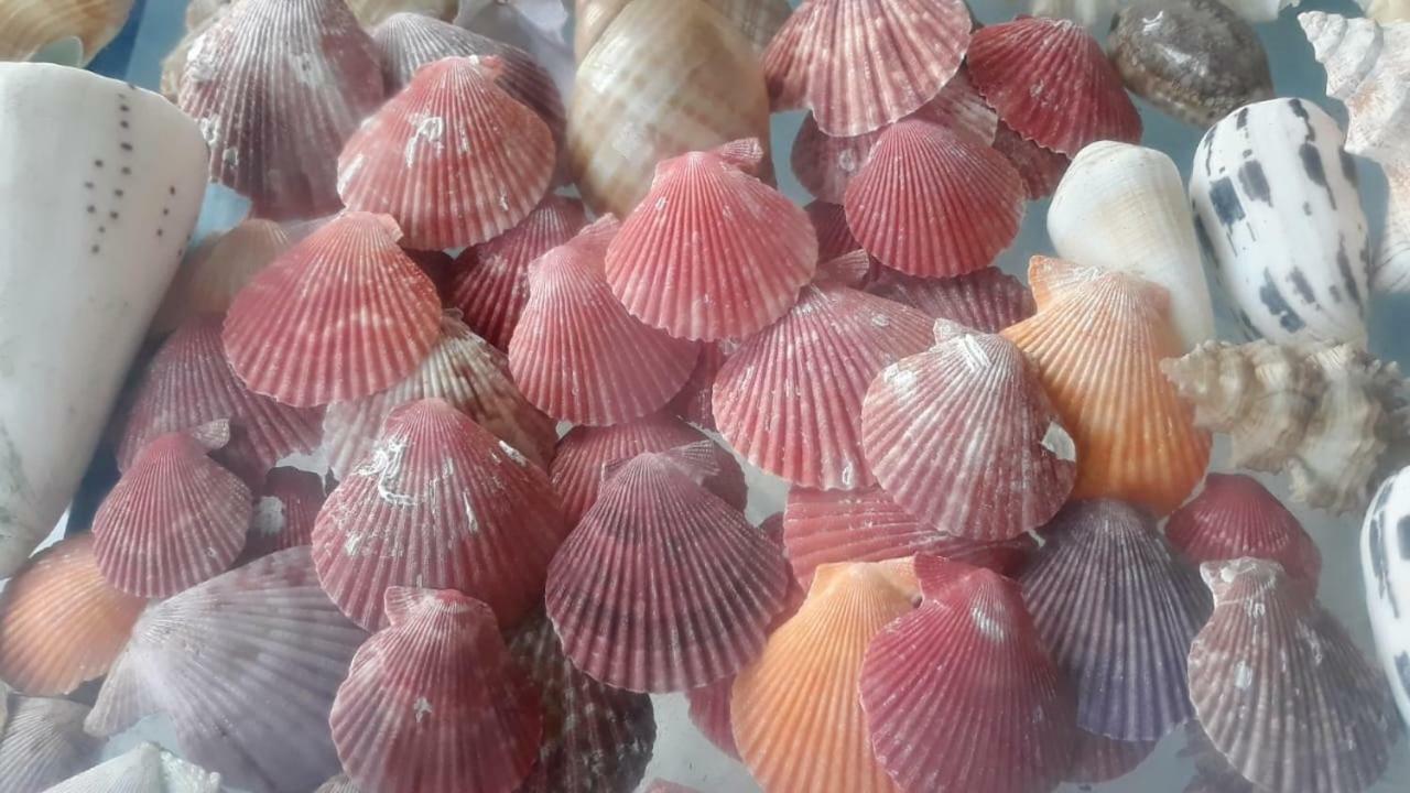 Hotel Dolphin Hikkaduwa Zewnętrze zdjęcie