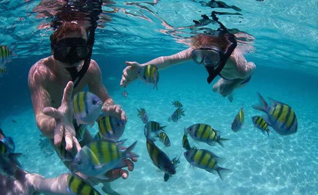 Hotel Dolphin Hikkaduwa Zewnętrze zdjęcie